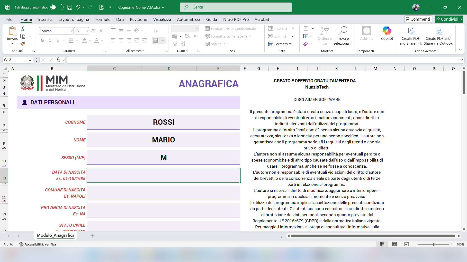 Screenshot del file Excel aperto in Microsoft Excel con i campi da compilare evidenziati